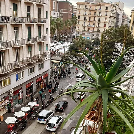 Toledo's Family Napoli